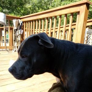 Meet your Posher, Nacolette